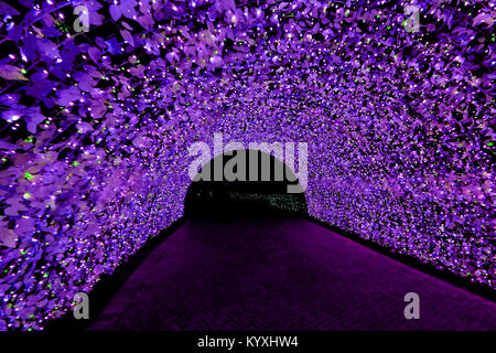 tunnel of light Tunnel or illumination lights in the winter. Nabana no Sato,Nagoya JAPAN. Stock Photo