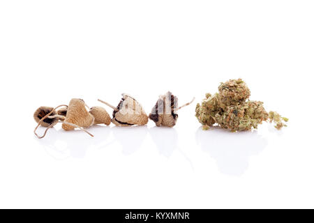 Dried magic mushrooms with bud marijuana cannabis plant. Isolated on white background. Stock Photo