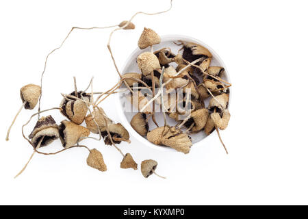 Dried magic mushrooms in cup from above. Isolated on white background. Flat lay. Stock Photo