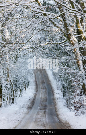 Road going through snow covered woodland trees, Broadway, Cotswolds, Worcestershire, England, United Kingdom, Europe Stock Photo