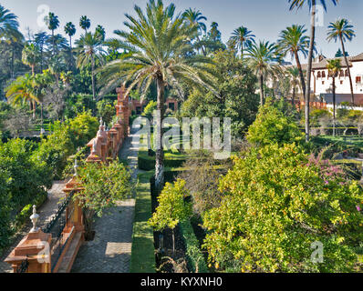 ALCAZAR SEVILLE SPAIN THE FORMAL GARDENS WITH PALMS AND ORANGE TREES SEEN FROM THE GALERIA DE GRUTESCOS COVERED WALKWAY Stock Photo