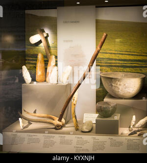 Display of neolithic finds of farming tools, with permission of Wiltshire Museum, Devizes, England, UK Stock Photo