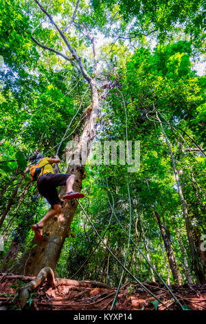 Guy swinging from the tree on liana plant in the tropical forest of Sri Lanka Stock Photo
