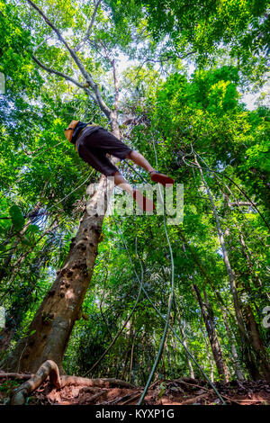 Guy swinging from the tree on liana plant in the tropical forest of Sri Lanka Stock Photo