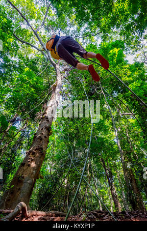 Guy swinging from the tree on liana plant in the tropical forest of Sri Lanka Stock Photo