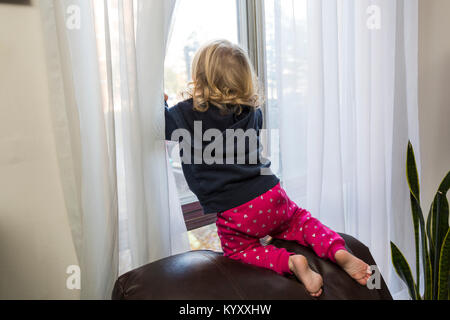 2 year old child looking out window at risk of falling out after climbing on chair Stock Photo