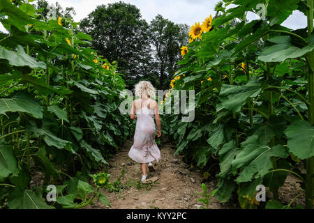 Rear view of girl walking amidst sunflower field Stock Photo