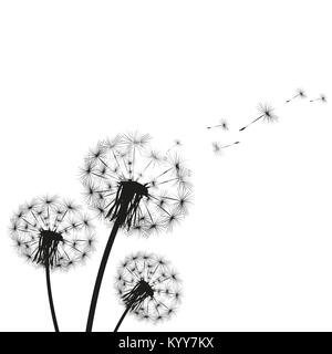 Silhouette of a dandelion Stock Vector