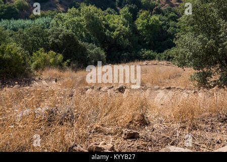 Visiting Banias Nature Reserve in Northern Israel Stock Photo