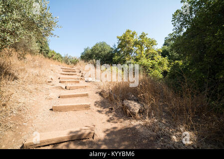 Visiting Banias Nature Reserve in Northern Israel Stock Photo