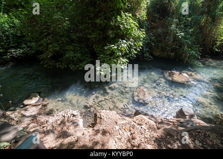 Visiting Banias Nature Reserve in Northern Israel Stock Photo