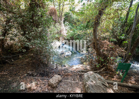 Visiting Banias Nature Reserve in Northern Israel Stock Photo