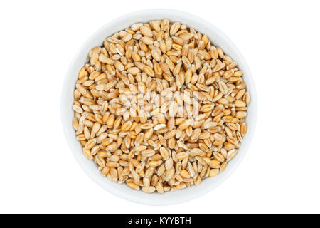 Wheat grain grains from above bowl isolated on a white background Stock Photo