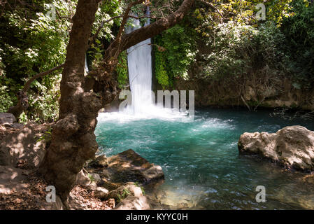 Visiting Banias Nature Reserve in Northern Israel Stock Photo