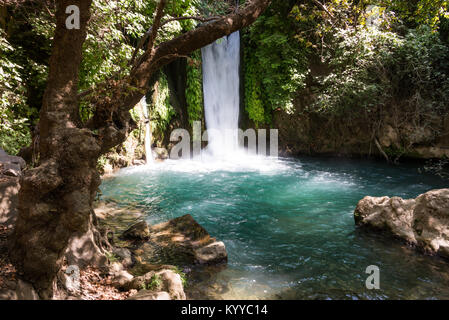 Visiting Banias Nature Reserve in Northern Israel Stock Photo