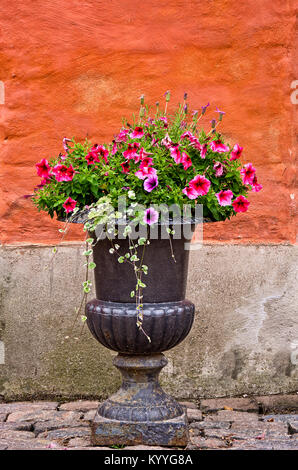 Flowers in a classic-style iron flower pot in front of brick red wall. Stock Photo