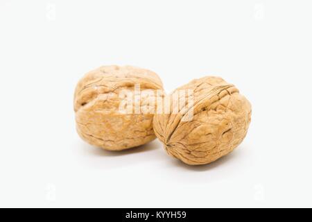Two de-husked and dried walnuts isolated on white Stock Photo