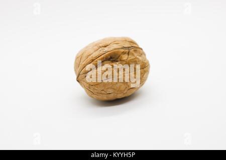 Walnuts without husk and dried. Isolated on white Stock Photo