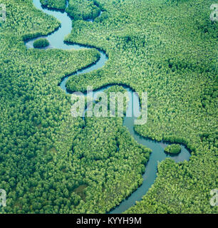 Aerial view of meanders and river capture features in mangrove forest ...