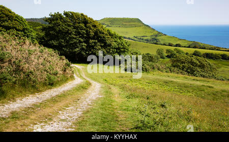 Track near Charmouth in Dorset leading towards Golden Cap the highest point on the southern section of the South West Coast Path UK