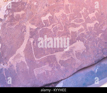 The famous prehistoric rock engravings at Twyfelfontein, tourist attraction and travel destination in Namibia, Africa. Stock Photo