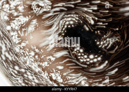 Intentional blur movement of fizzy soda bubbles moving though liquid water creating an abstract blurred image of frantic releasing gases of white and  Stock Photo