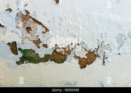Close up of green mold fungus and peeling and flaking paint due to rising damp and lack of maintenance on exterior wall Stock Photo