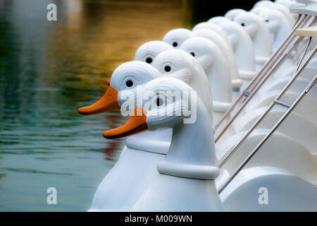 A group of white duck pedal boats is parked on the lake. waiting for the user on a bright morning in the public park. Stock Photo