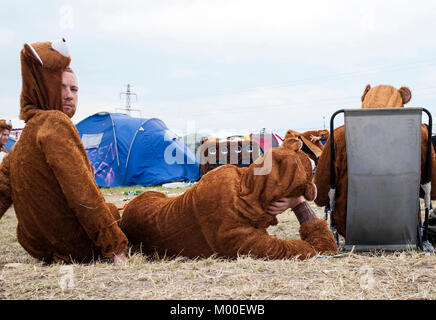 At Roskilde Festival it's tradition that people dress up and disguise in many ways. Here a group of guys wear bear costumes. Denmark 2013. Stock Photo