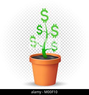 dollar plant grows in flowerpot Stock Vector