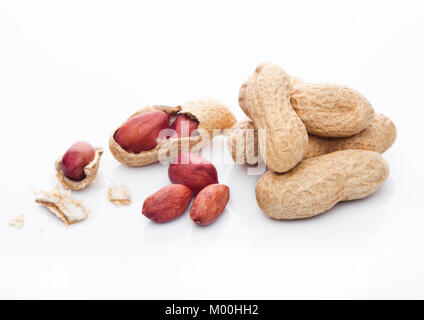 Raw peanuts with shell on white background with reflection Stock Photo