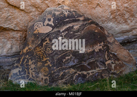 Pictograph panel depicting a variety of game and symbols in Nine Mile Canyon, Utah, USA Stock Photo