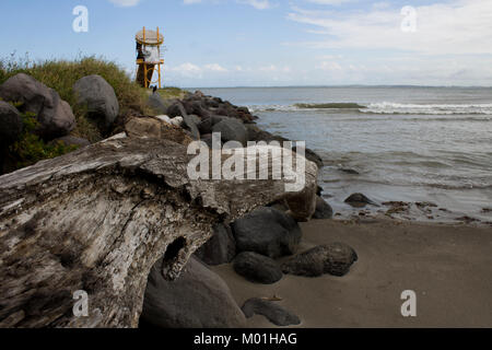 Seawall with log and lifeguard tower Stock Photo