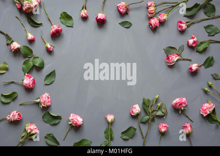 Floral pattern made of pink bush roses, green leaves on gray background. Flat lay, top view. Valentine's background. Floral pattern. Stock Photo