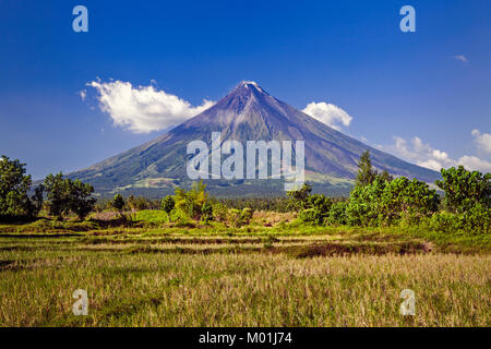 Mount Mayon Volcano is an active stratovolcano, in the province of Albay, Bicol, Philippines. Stock Photo