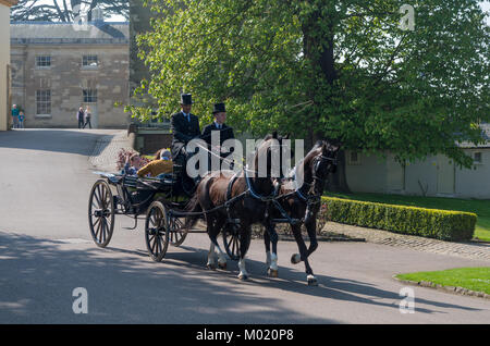 Four wheeled, open top carriage pulled by two horses taking visitors around the Duke Of Bedford's Woburn Abbey grounds; Woburn UK Stock Photo