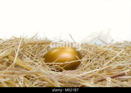 Golden egg on a bed of straw. Stock Photo