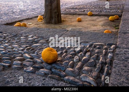 RONDA, ANDALUSIA / SPAIN - OCTOBER 08 2017: ORANGES ON ROCKS Stock Photo