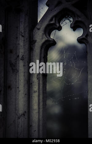 Spiderweb covered in dew, gothic window Stock Photo
