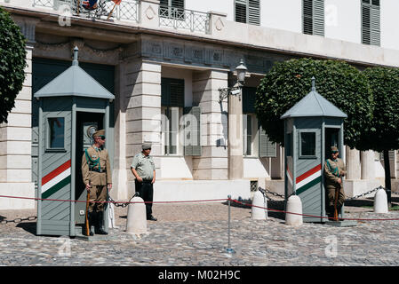 Budapest, Hungary - August 14, 2017:  Soldiers guarding the presidential building in the Castle of Buda Stock Photo