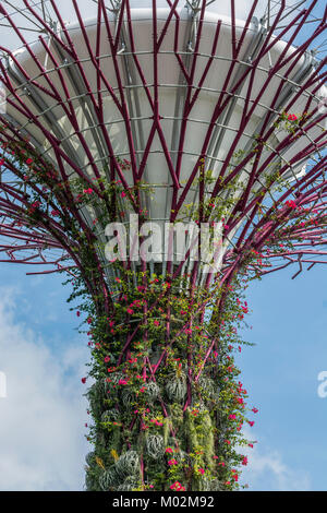 Gardens by the bay, Marina Bay, Singapore Stock Photo