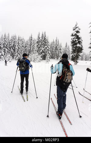 Two skiers on a cross-country tour in snowy weather. Giant Mountains, Karkonosze, Poland. Stock Photo