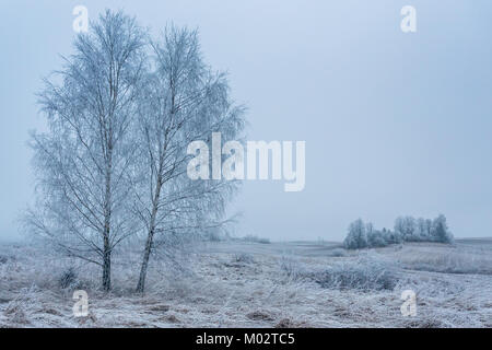 Two birch trees in a frozen landscape Stock Photo