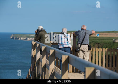 Cliff-top view for group of 3 people (birdwatchers) with cameras & binoculars on sunny day - Bempton Cliffs RSPB reserve, East Yorkshire, England, UK. Stock Photo