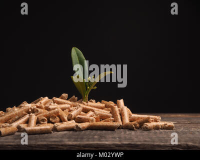 Growth concept with wooden pellets on a wooden table Stock Photo