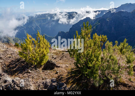 View from the walking trail (Vereda do Pico Ruivo) near the summit of Pico Ruivo, Madeira Stock Photo