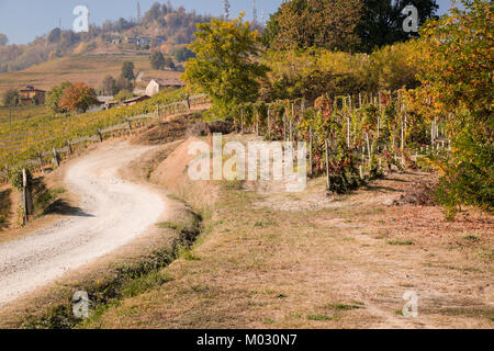 Barolo, Piedmont, Italy: vineyards and landscapes around Barolo and La Morra in autumn warm sunday afternoon, sunshine