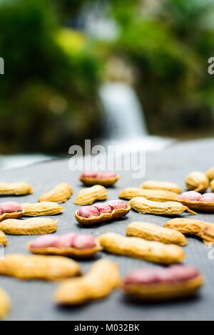 Opened peanuts isolated on the rock in the nature Stock Photo
