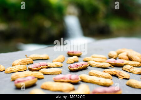 Opened peanuts isolated on the rock in the nature Stock Photo