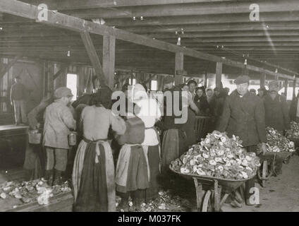 Shucking oysters in the Alabama Canning Company Stock Photo